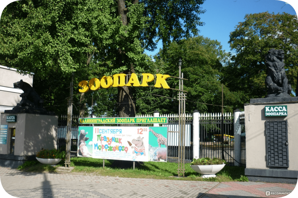 Зоопарк в Калининграде